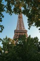 eiffel torn genom grön lövverk under blå himmel foto