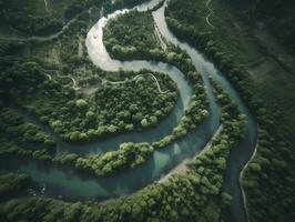 ett antenn se av en lindning flod skärande genom en tät skog generativ ai foto