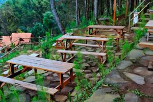 traditionell trä- dining tabell i utomhus- Kafé i tall skog foto
