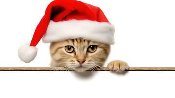 rolig kattunge i röd jul hatt kikar från Bakom tom baner. ai generativ foto