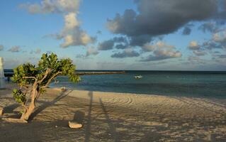 Sol gjutning tidigt morgon- skuggor på de strand i aruba foto