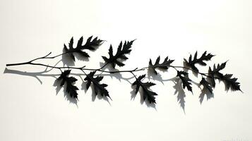 skuggor av löv på en vägg. silhuett begrepp foto
