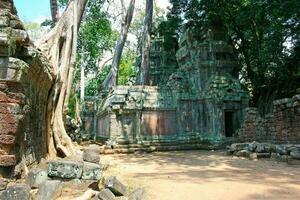 ta prohm tempel i siem skörda foto