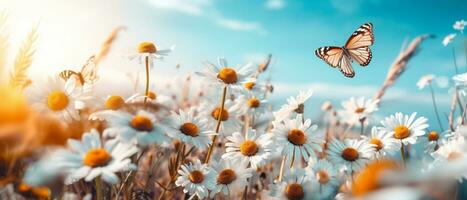 ai generativ skön vild blommor daisy och fjäril i morgon- Häftigt dis i natur vår närbild makro härlig luftig konstnärlig bild skönhet sommar natur foto