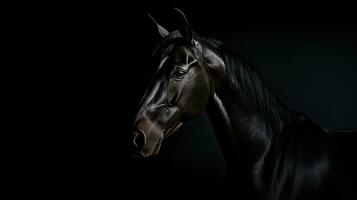 budenny häst s skugga på svart bakgrund. silhuett begrepp foto