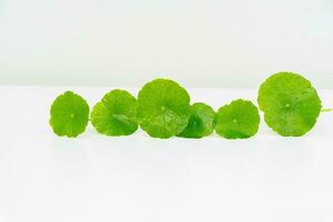 en glas bägare som innehåller vatten och centella asiatica dekorerad med erlenmeyer flaska och runda podium foto