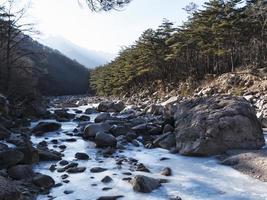 frusen bergflod i Seoraksan nationalpark, Sydkorea foto