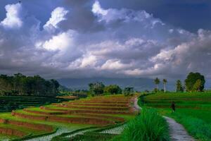 skön morgon- se indonesien panorama landskap irländare fält med skönhet Färg och himmel naturlig ljus foto