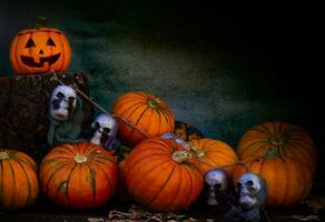 halloween dekoration med pumpor och skalle foto
