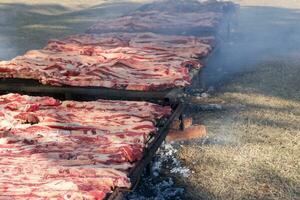 traditionell kött grillad på de grill i de argentine landsbygden foto