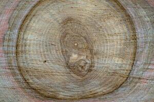 vacker träfraktur gammal ek, naturlig struktur på nära håll foto