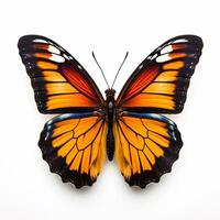 skön stor vild fjäril ser framåt- är visad i full längd, ai genererad foto