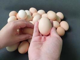 organiskt ägg för en hälsosam kost med protein och lipider foto