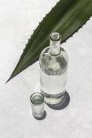 läckra mezcal alkoholhaltiga drycker sortiment bakgrund foto