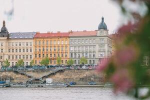 skön se av de stad prag foto