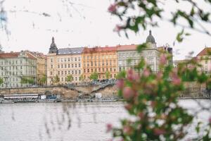 skön se av de stad prag foto