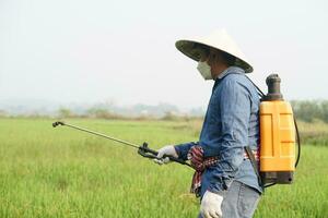 asiatisk jordbrukare användningar herbicider, insektsmedel kemisk spray till skaffa sig befria av ogräs och insekter eller växt sjukdom i de ris fält. orsak luft förorening. miljö- , lantbruk kemikalier begrepp. foto