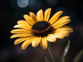 fångande de skönhet av en gul daisy med en grund djup av fält - ai genererad foto