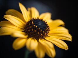 gul daisy med svart Centrum - makro fotografi - grund djup av fält - drömmande atmosfär - romantisk - ai genererad foto