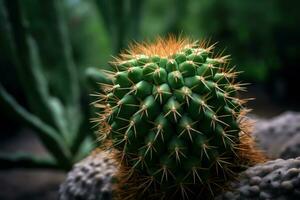 en stänga upp av en grön kaktus växt ai genererad foto