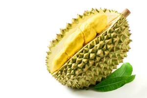 chani kai Durian eller durio zibthinus murray isolerat på vit, foto