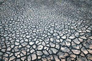 sprickor på de yta av de jord är förändrad förbi de krympning av lera på grund av till torka foto