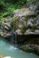 en små vattenfall över mossiga stenar i sommar skog foto