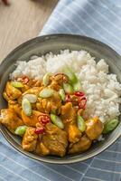 kyckling curry ris chili och ung lök i skål foto