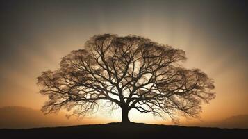 fascinerande silhuett av en stor träd i unik belysning foto