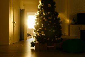 jul träd och solljus, öppen spis foto