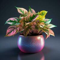ljus Färg dekorativ växter i de pott foto