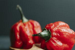 hetaste peppar i de värld. trinidad scorpion butch, tusentals av gånger Mer kryddad än havanna. på svart skiffer bakgrund, med naturlig ljus. kryddad mörk mat mat begrepp. foto