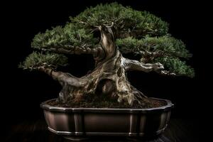 åldrig bonsai träd isolerat på svart bakgrund generativ ai foto
