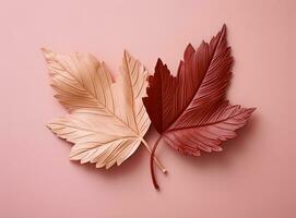 rosa färgrik höst löv foto