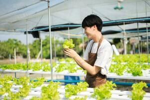 asiatisk man jordbrukare ser organisk grönsaker och innehav läsplatta för kontroll order eller kvalitet bruka foto