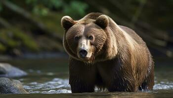 majestätisk grizzly Björn fiske i lugn tropisk regnskog damm genererad förbi ai foto