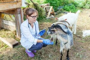 ung veterinär kvinna med tablett dator undersöka get på ranch bakgrund. veterinär läkare kolla upp get i naturlig ekogård. djurvård och ekologiskt boskapsuppfödningskoncept. foto