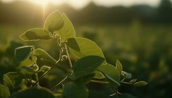 färsk grön löv på en träd gren i de sommar genererad förbi ai foto