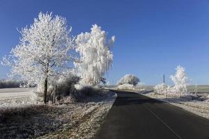 vacker saga snöig vinterbygd i centrala Böhmen, Tjeckien foto