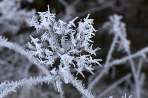 vacker saga snöig vinterbygd i centrala Böhmen, Tjeckien foto