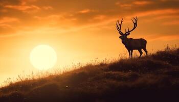 majestätisk sven betar i lugn äng, silhouetted mot solnedgång himmel genererad förbi ai foto