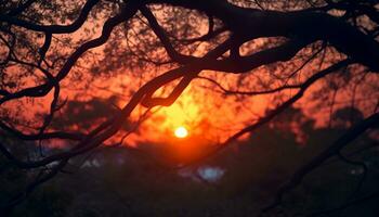 silhuett av träd, natur skönhet i solnedgång lugn skymning genererad förbi ai foto