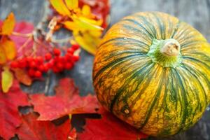 naturlig höst falla se pumpa och lönn löv på trä- bakgrund. inspirera oktober eller september tapet. förändra av årstider, mogen organisk mat begrepp. halloween fest tacksägelse dag. foto