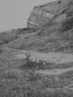 helgoland island i tyskland foto