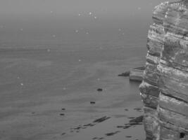 helgoland island i tyskland foto