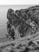 helgoland island i tyskland foto