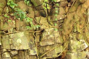 sten vägg på vattenfall med växter och flod foto