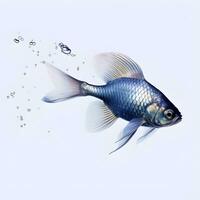 fisk i vatten stänk på vit bakgrund. ai generativ foto