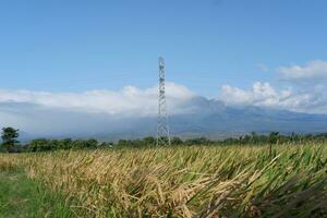 hög Spänning posta på ris fält med blå himmel och moln bakgrund foto