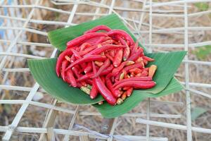 röd varm chili på banan blad för försäljning i marknadsföra, thailand. foto